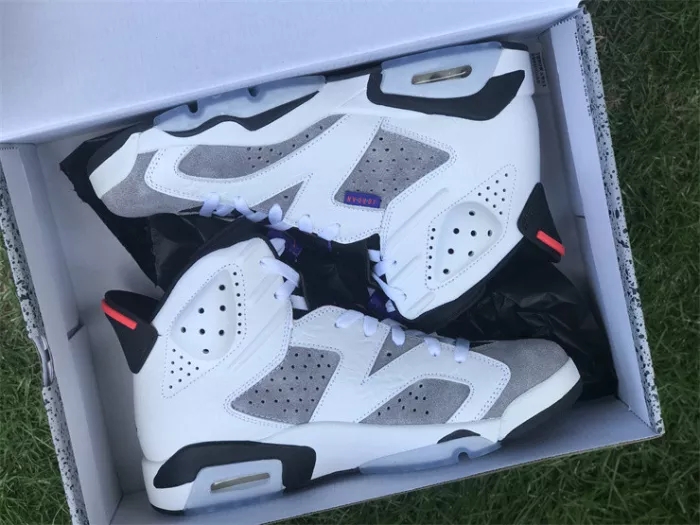 Authentic Air Jordan 6 “Flint”