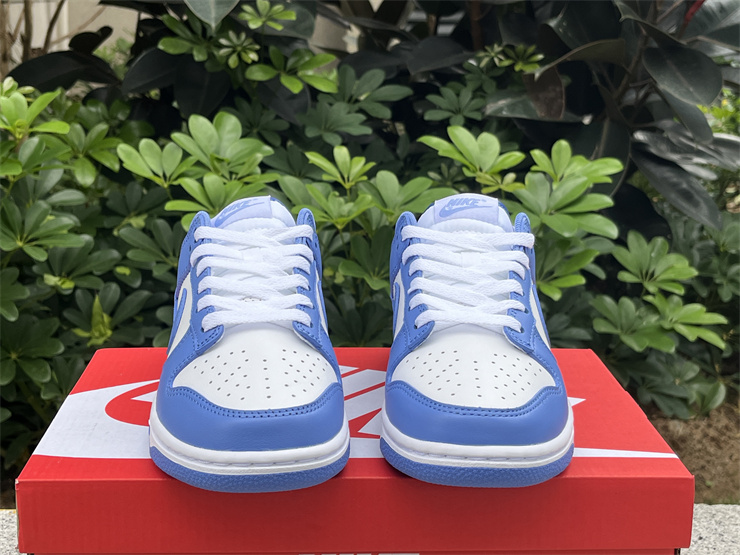 Authentic Nike Dunk Low “Polar Blue”