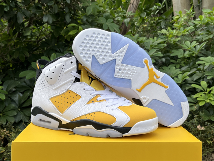 Authentic Air Jordan 6 