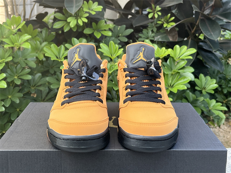 Authentic Air Jordan 5 Low “Chutney”