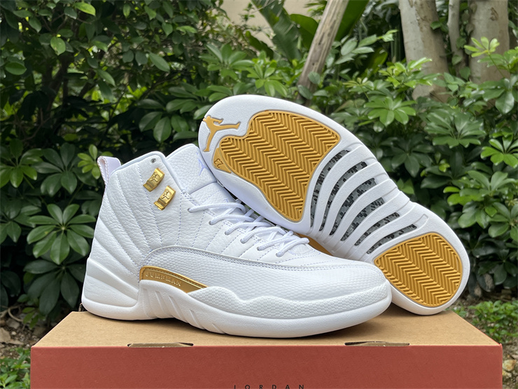 Authentic Air Jordan 12 “Phantom”