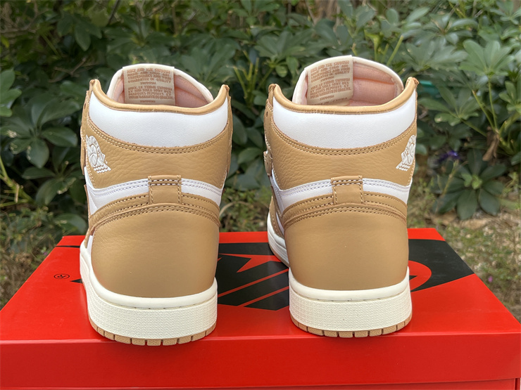 Authentic Air Jordan 1 High OG WMNS “Praline”