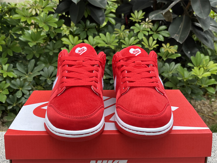 Authentic Nike Dunk Low GS 