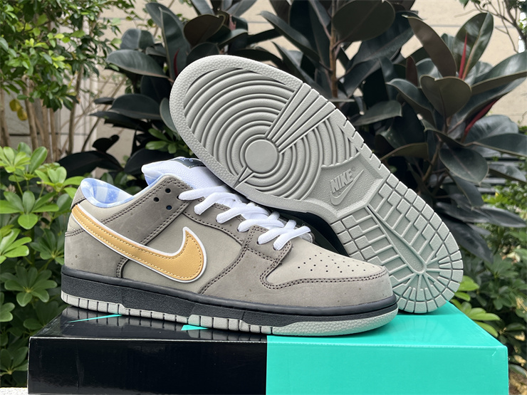 Authentic  Concepts x Nike SB Dunk Low 