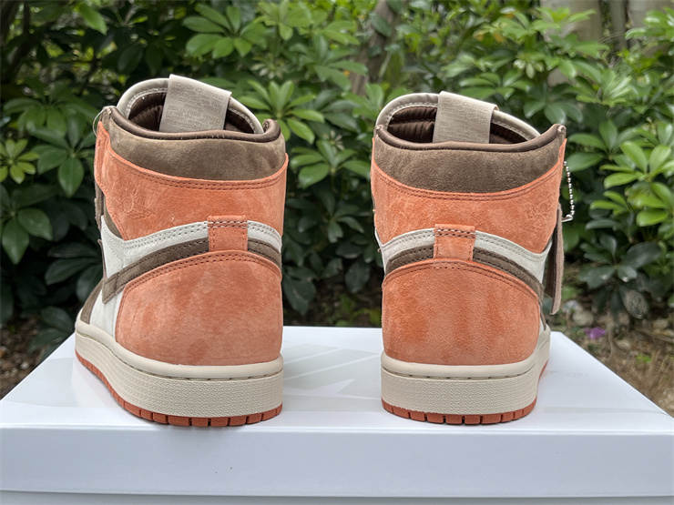 Authentic Air Jordan 1 High OG WMNS “Dusted Clay”