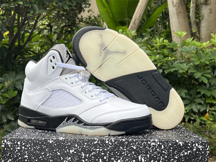 Authentic Air Jordan 5 “Reverse Metallic”