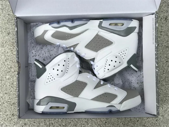 Authentic Air Jordan 6 “Cool Grey”