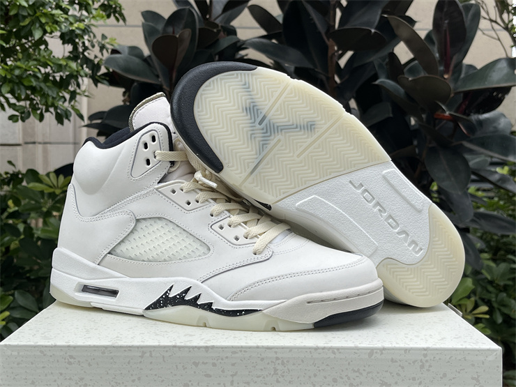 Authentic Air Jordan 5 SE “Sail”