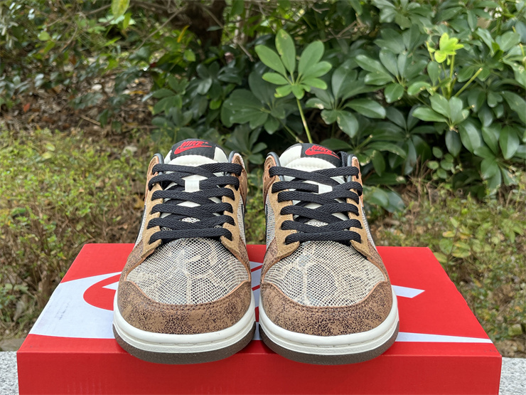 Authentic Nike Dunk Low CO.JP 