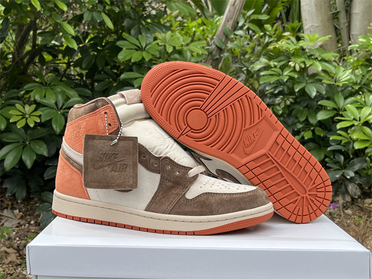 Authentic Air Jordan 1 High OG WMNS “Dusted Clay”