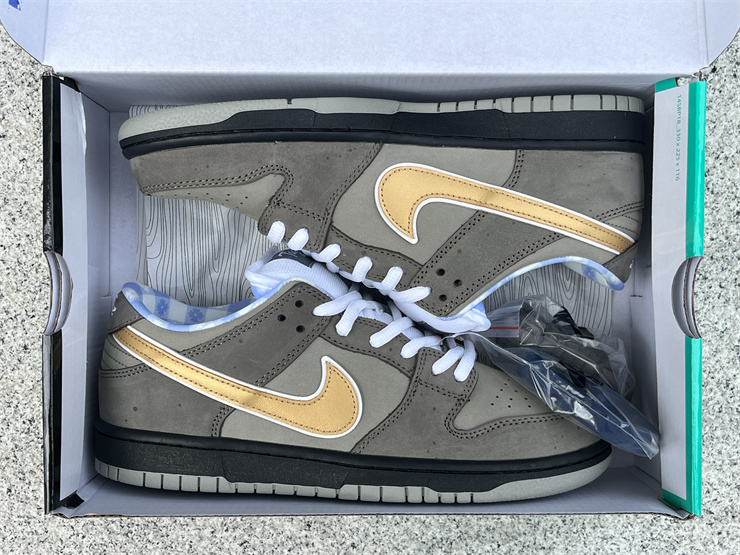 Authentic  Concepts x Nike SB Dunk Low 