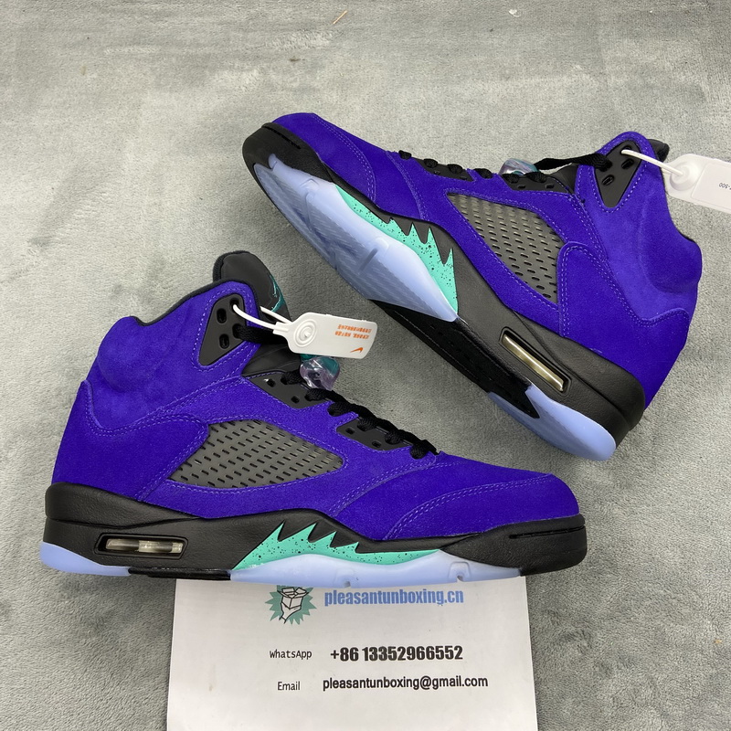 Authentic Air Jordan 5 “Alternate Grape”