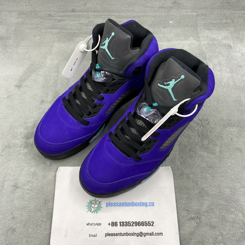 Authentic Air Jordan 5 “Alternate Grape”