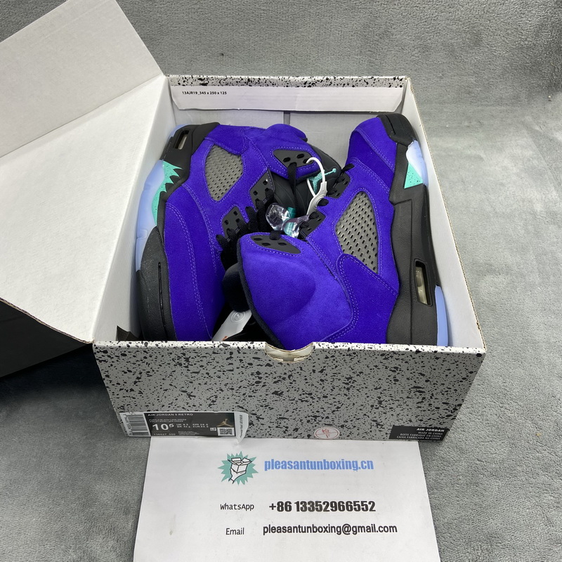 Authentic Air Jordan 5 “Alternate Grape”