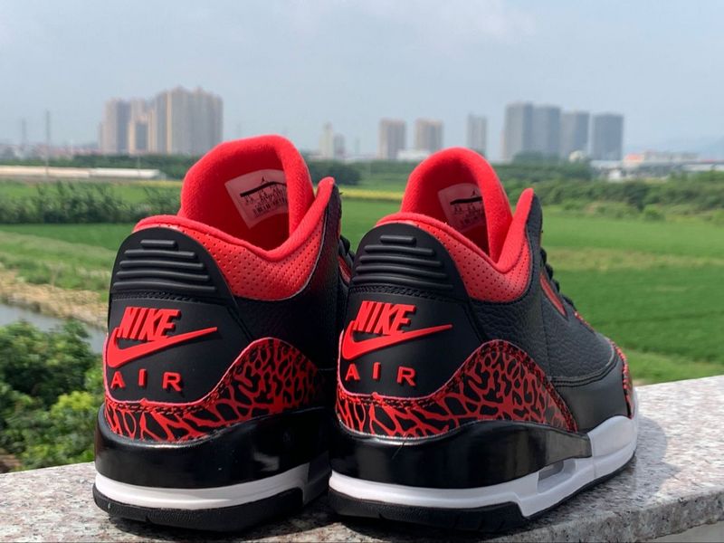 Perfect Air Jordan 3 Shoes-011