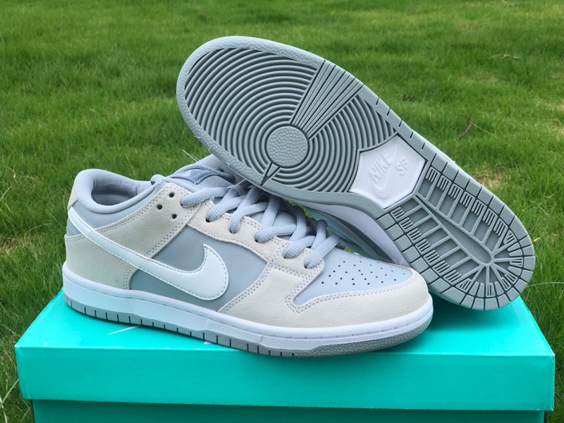 Authentic Nike Dunk SB Low TRD AR0778-110  