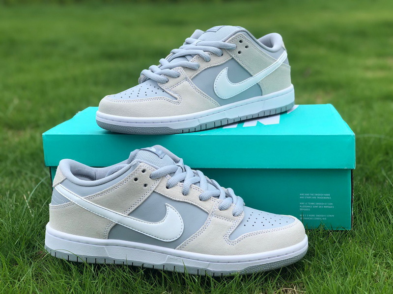 Authentic Nike Dunk SB Low TRD AR0778-110  