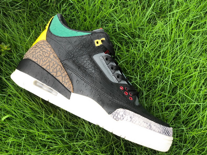 Authentic Air Jordan 3 SE “Animal Instinct 2.0”