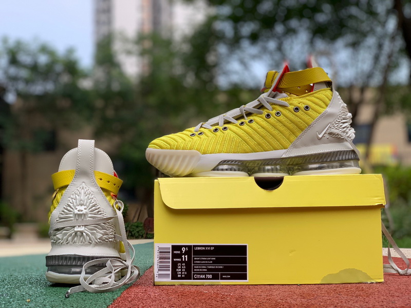 Authentic HFR x Nike Lebron 16 