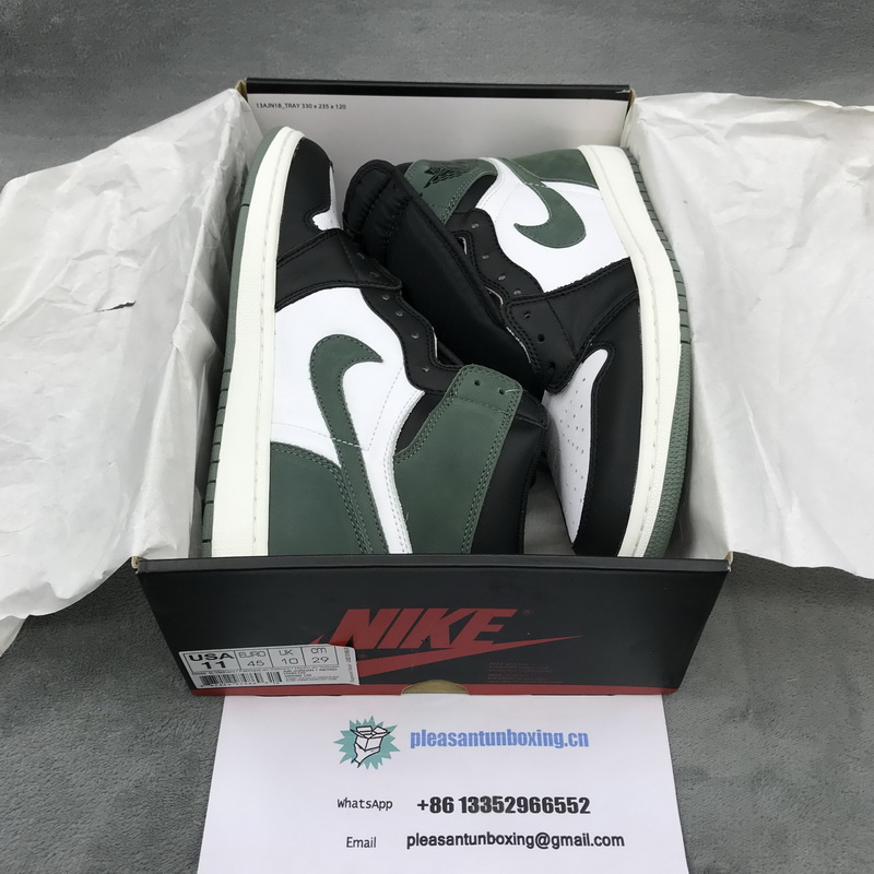 Authentic Air Jordan 1 “ALL THOSE AWARDS”