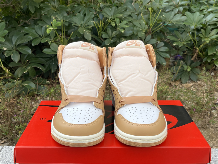 Authentic Air Jordan 1 High OG WMNS “Praline”