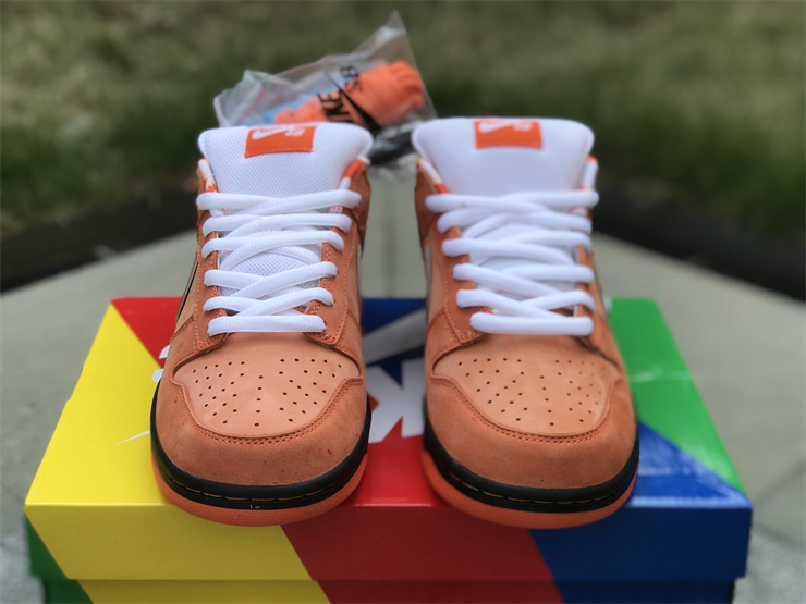 Authentic Concepts x Nike SB Dunk Low