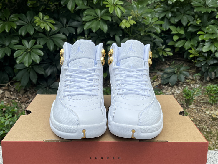 Authentic Air Jordan 12 “Phantom”