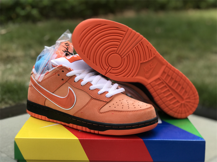 Authentic Concepts x Nike SB Dunk Low