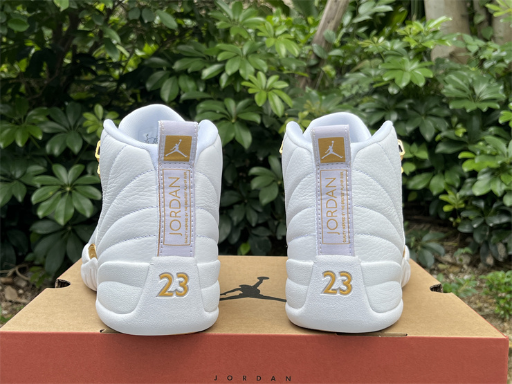 Authentic Air Jordan 12 “Phantom”