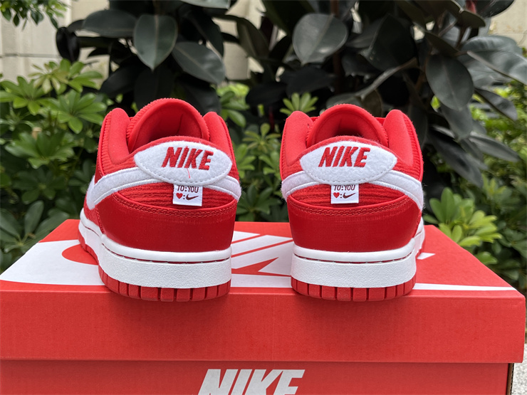 Authentic Nike Dunk Low GS 