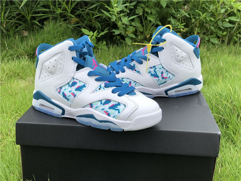 Authentic Air Jordan 6 GS 